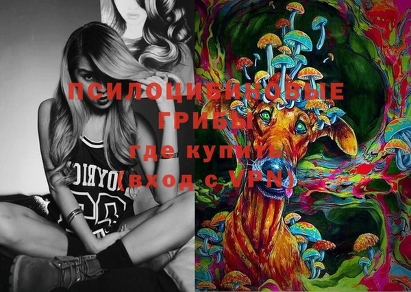 шишки Алзамай