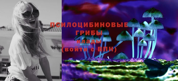 шишки Алзамай
