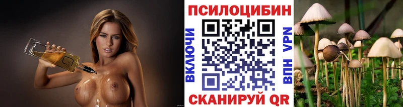 Галлюциногенные грибы Psilocybine cubensis Ишим